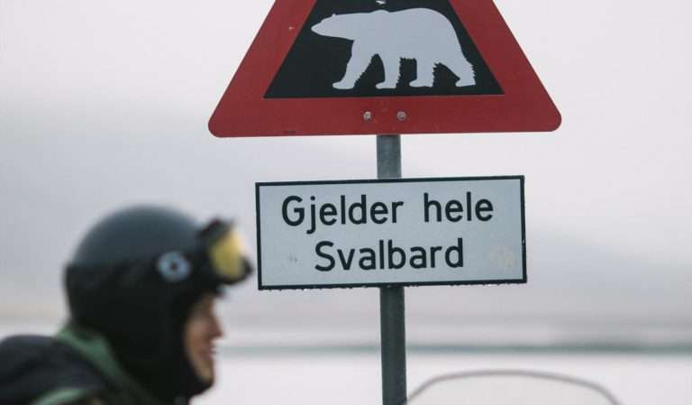activities to do in svalbard