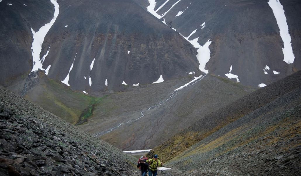 Fuglefjella: Hike through Bjørndalen to the bird mountains