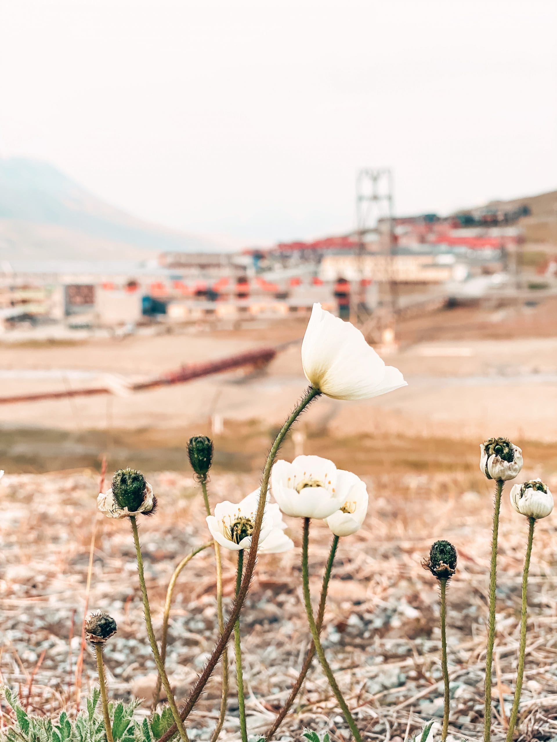 share 62F91EA2 6143 44CC 8330 744C070E14E7