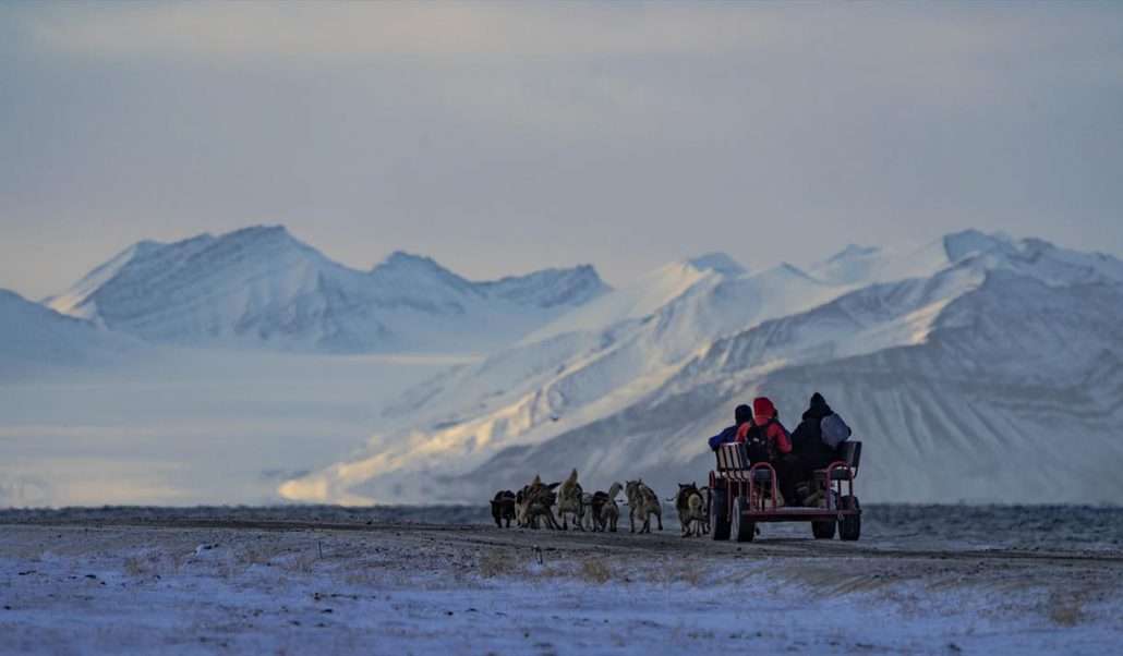 Dogs the Ocean Along the Arctic coast by dog wagon