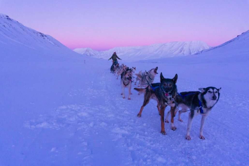 Dogsledding to ice cave4