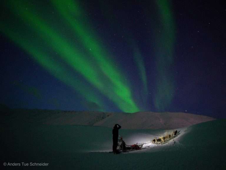 dogsledding polar night 5