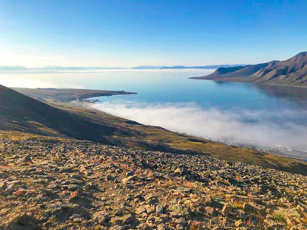 117157757 1599009013594106 1749117881358981146 n