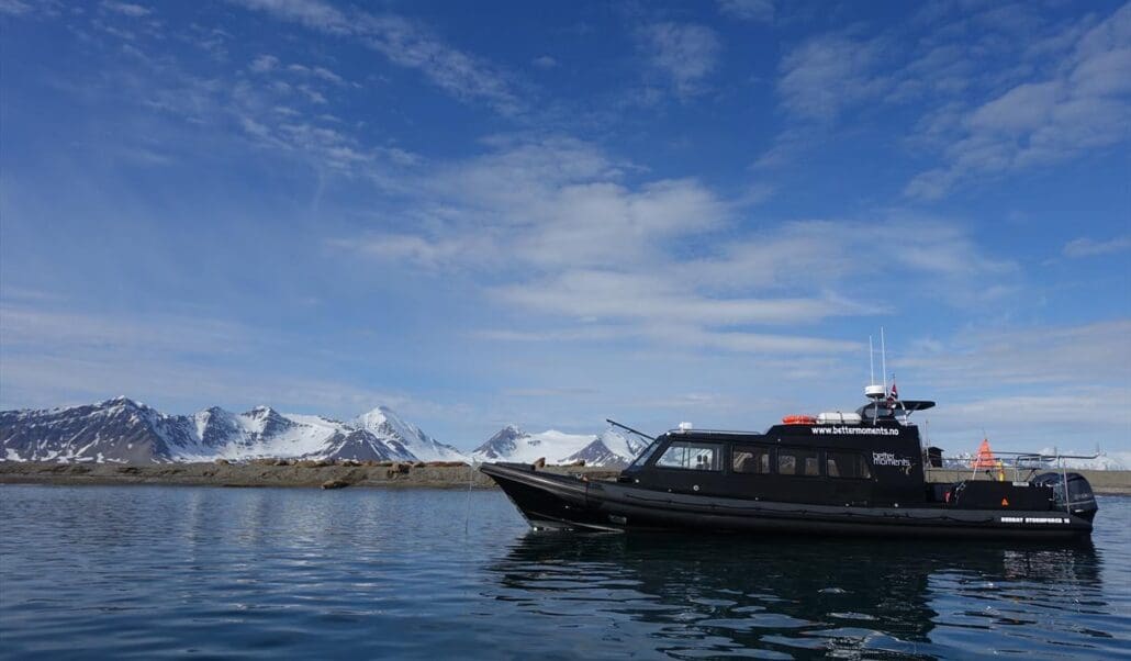 nyaalesund bettermoments2