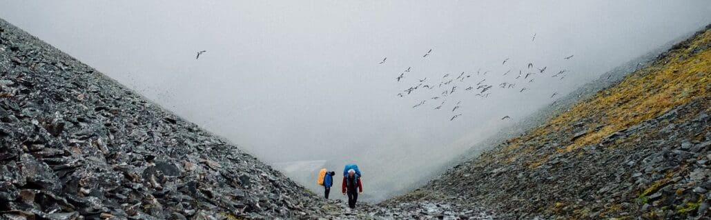 Fuglefjella – Wildlife Hike at the Coast