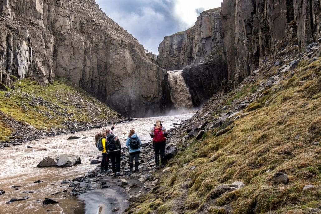 Fjord Safari to Elveneset with Hike