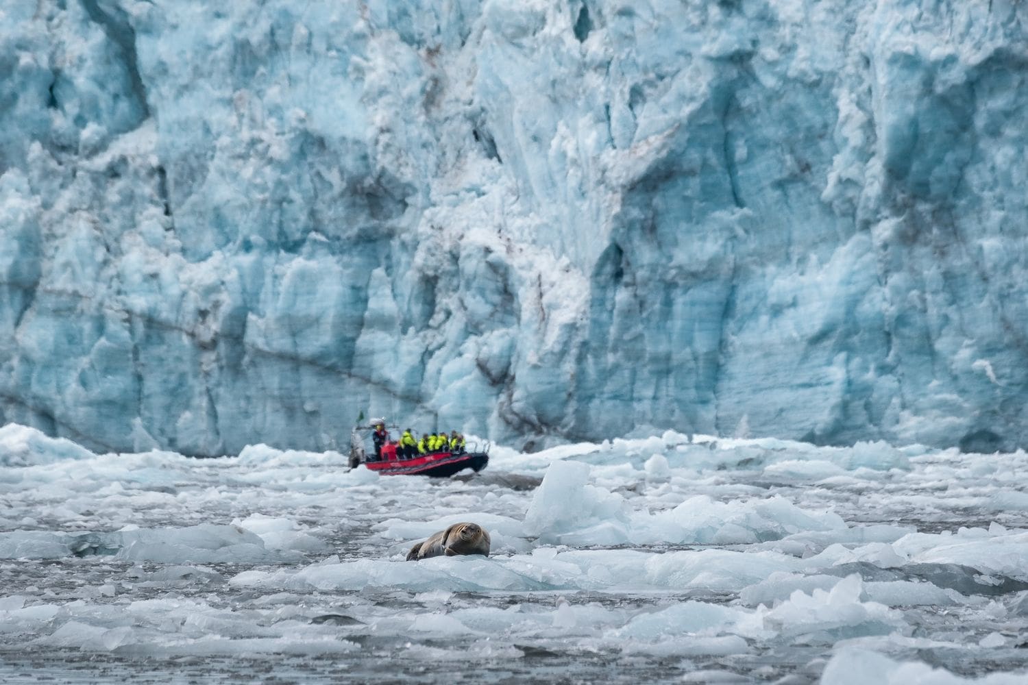 Glacier Safari