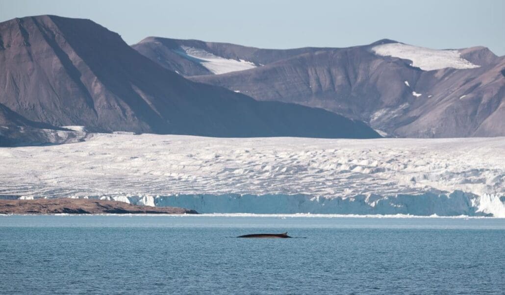 To the northernmost Isfjord glaciers & haunted house